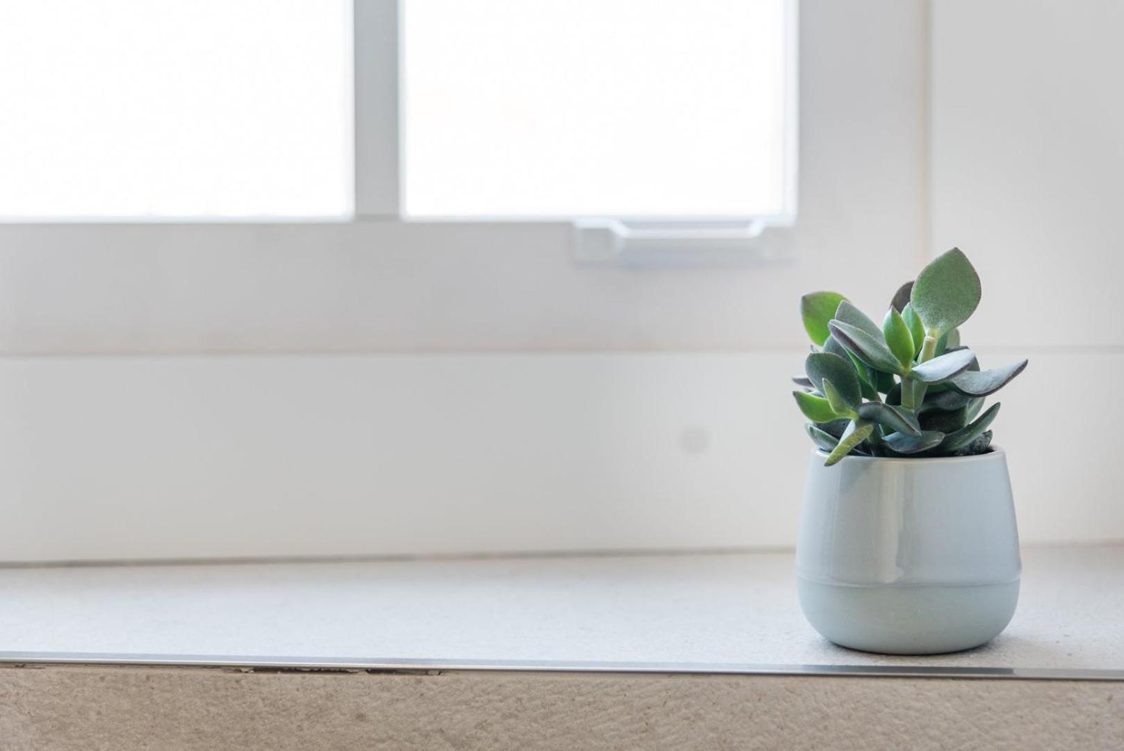Guestready - Chic Retreat In The Heart Of Porto Lägenhet Exteriör bild